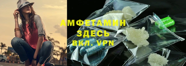 твердый Новодвинск