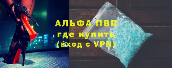 индика Новозыбков