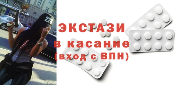 индика Новозыбков