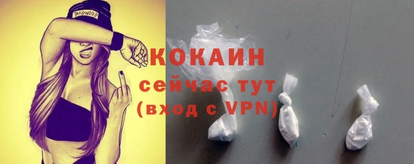 индика Новозыбков