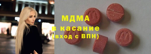 индика Новозыбков