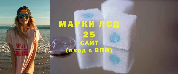 твердый Новодвинск
