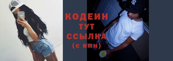 твердый Новодвинск