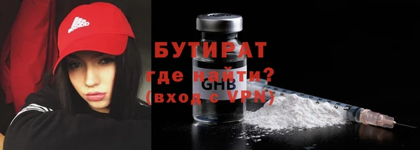 индика Новозыбков
