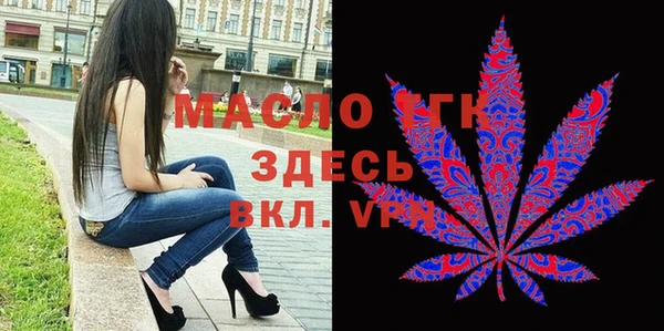 индика Новозыбков