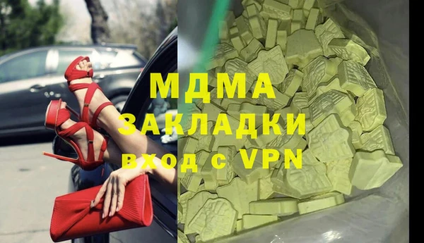 индика Новозыбков
