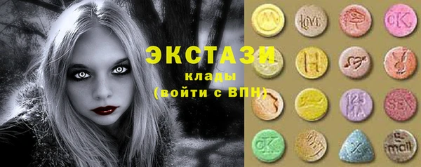 индика Новозыбков