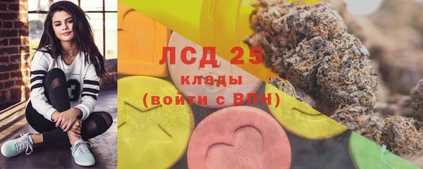 твердый Новодвинск