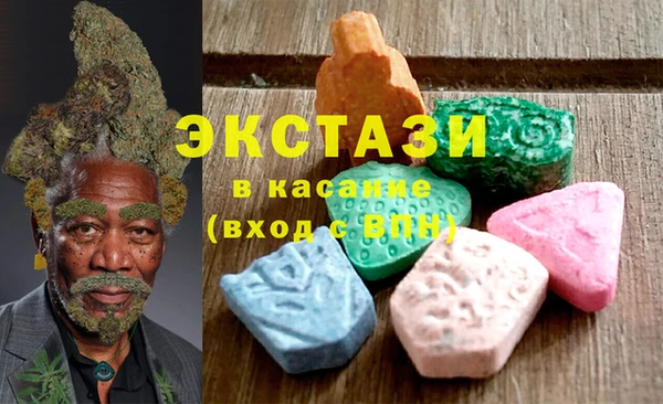 индика Новозыбков