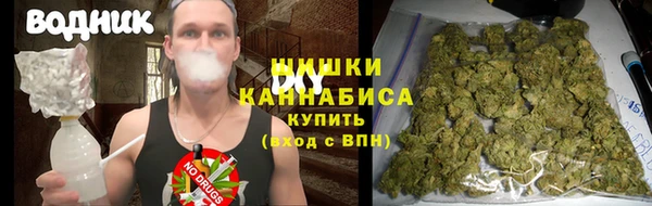 индика Новозыбков