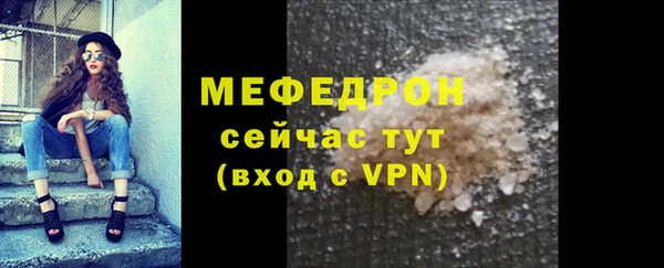 индика Новозыбков